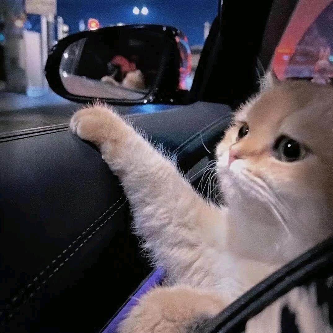 笙笙予