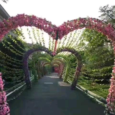 想解脱