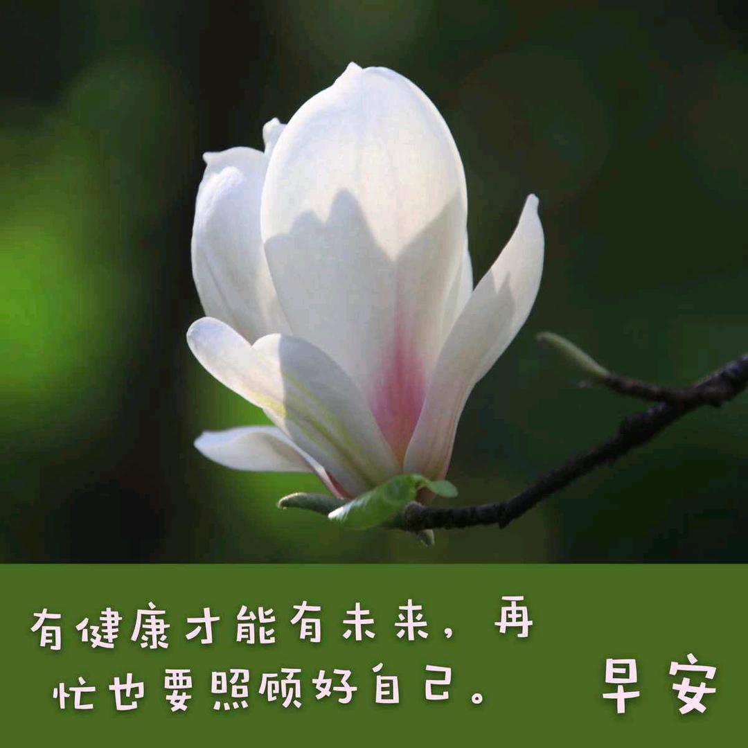 去吧皮卡丘