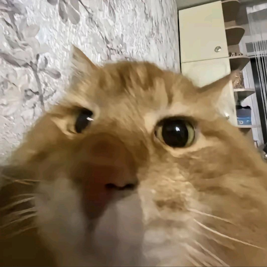 Aa.宝宝