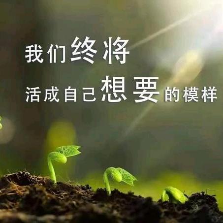 🌈🌈🌈小张小张，万事不慌