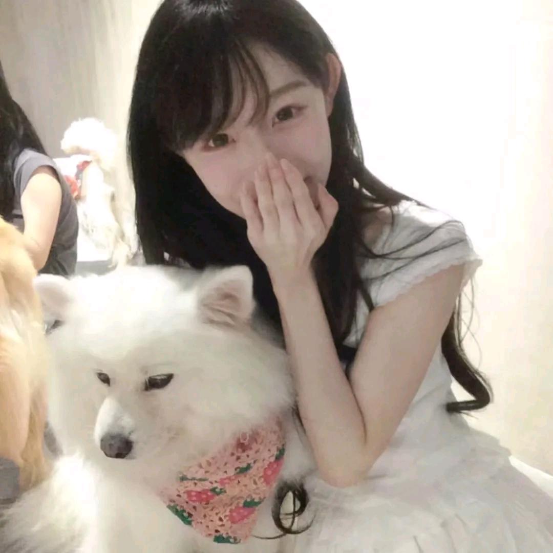 好想吃车厘子呀