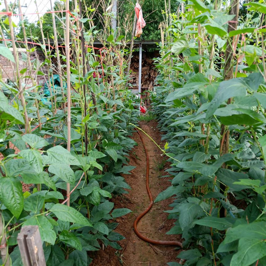 坪沙农庄随时欢迎大家