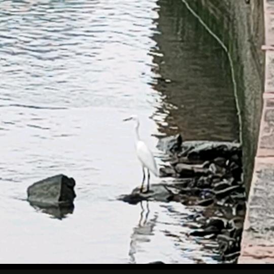 随意