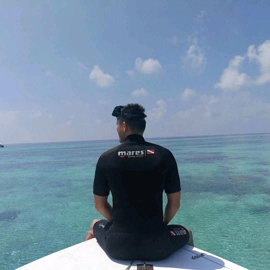 爱旅行的石头