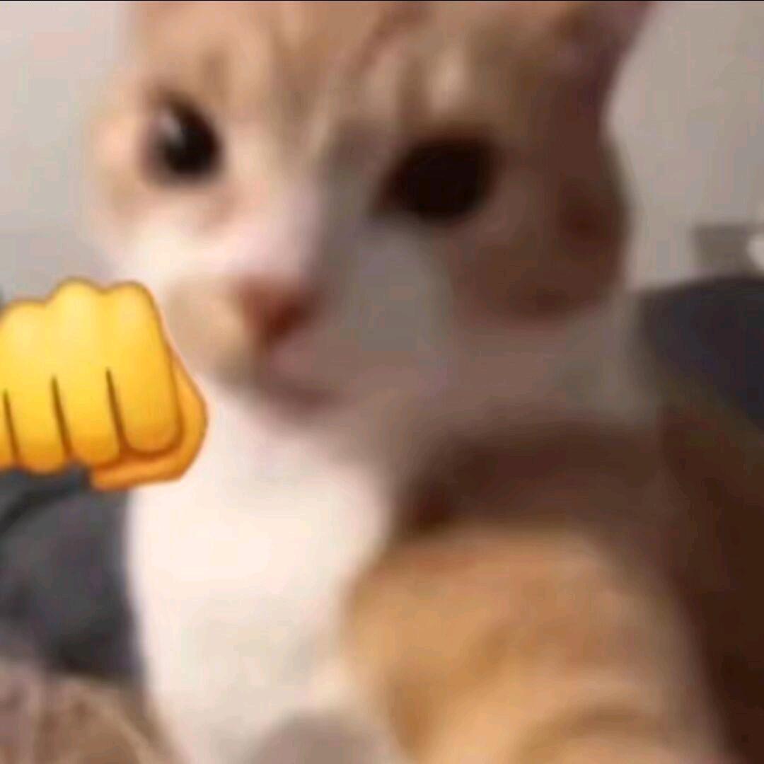 ⚡紫薯大帝⚡