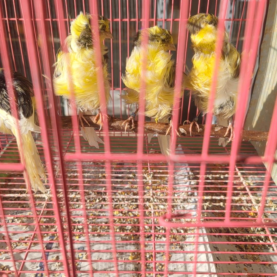 麦麦提图尔贡18099988828