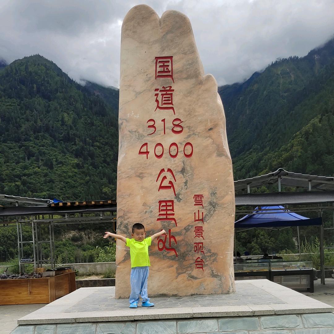 新疆库尔勒磨盘棉壳加工厂宋玉杰15865