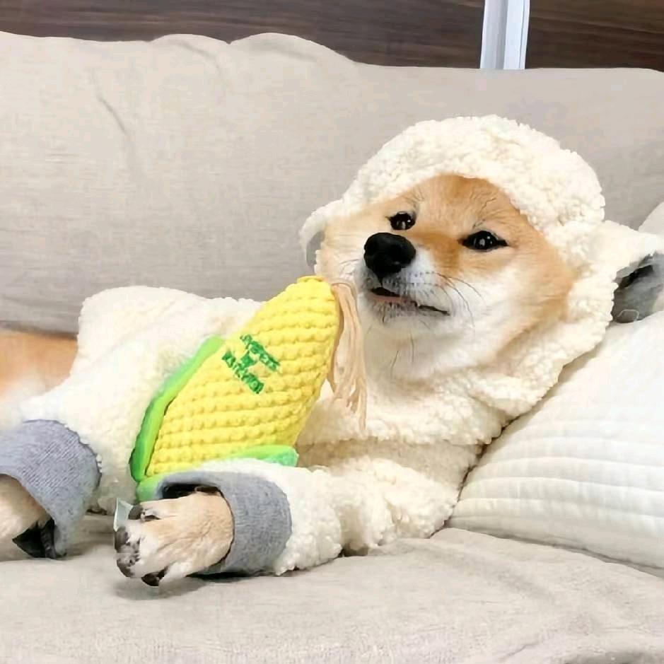 阿坤怎么了