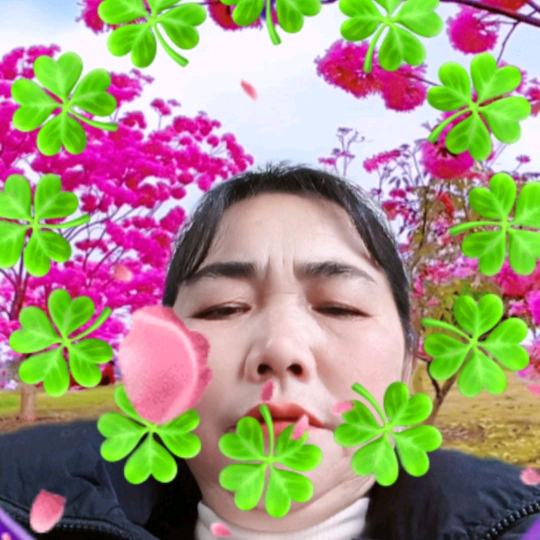 熊大姐