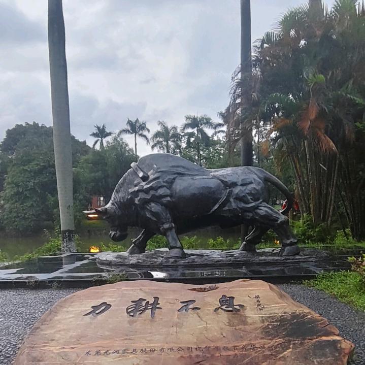 漂浮的魚