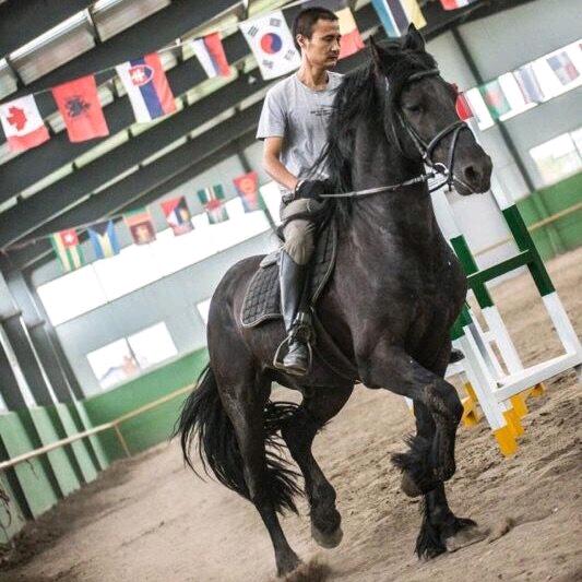 安达市龙江马场（马术日常）