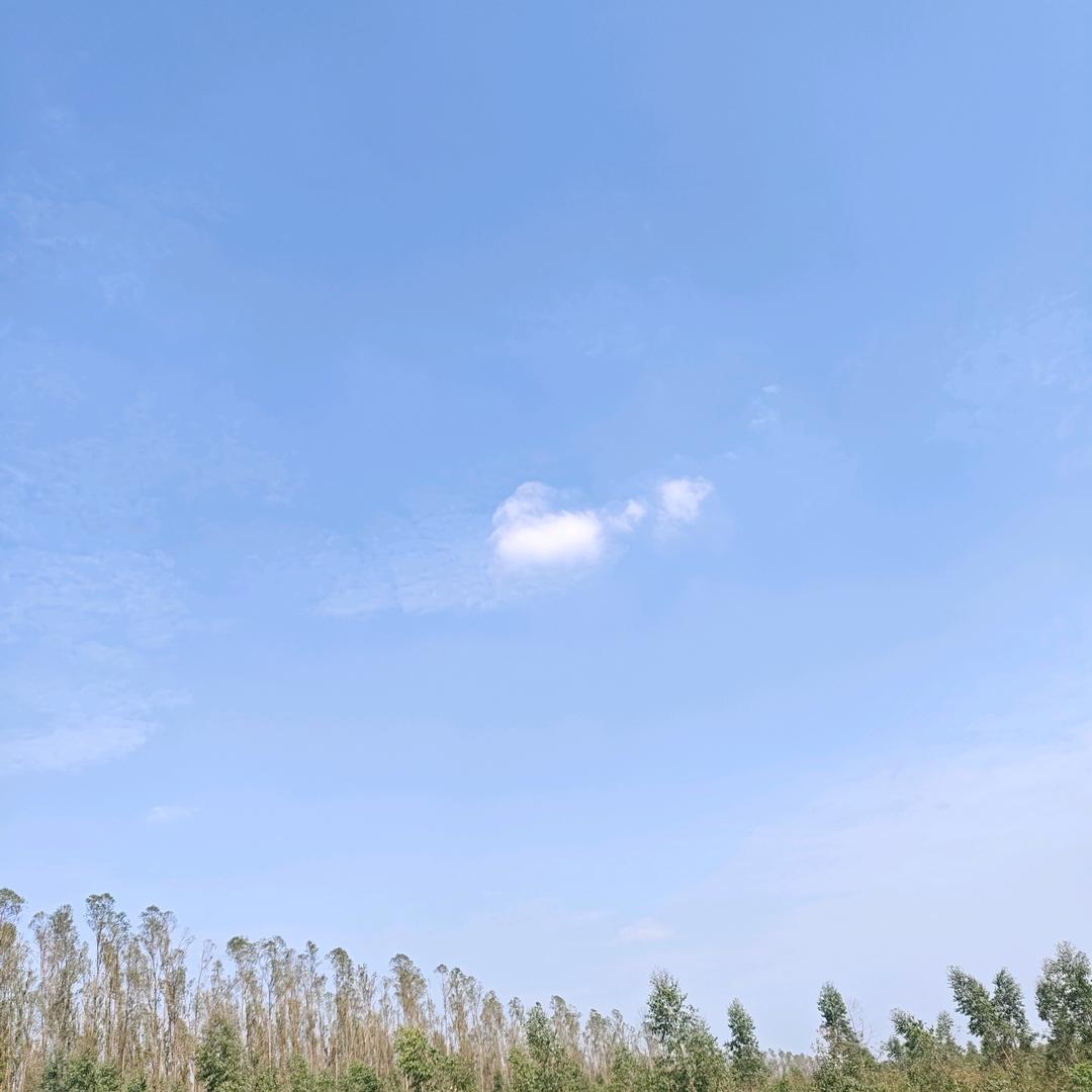 担凳仔霸头位
