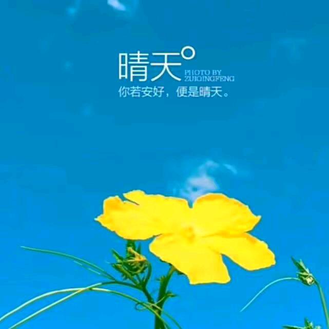 你若安好.便是晴天🐙（西厂张）