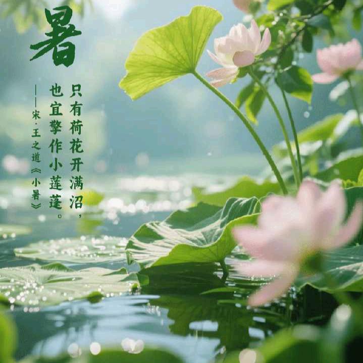 罗鹏