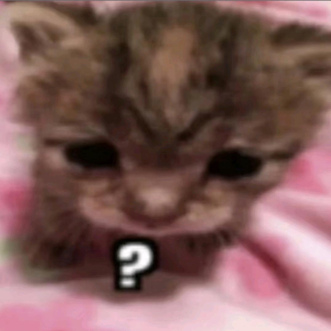 猫猫.（重生版）