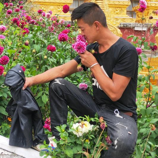 🌹我爱傅小姐🌹🌹🌹