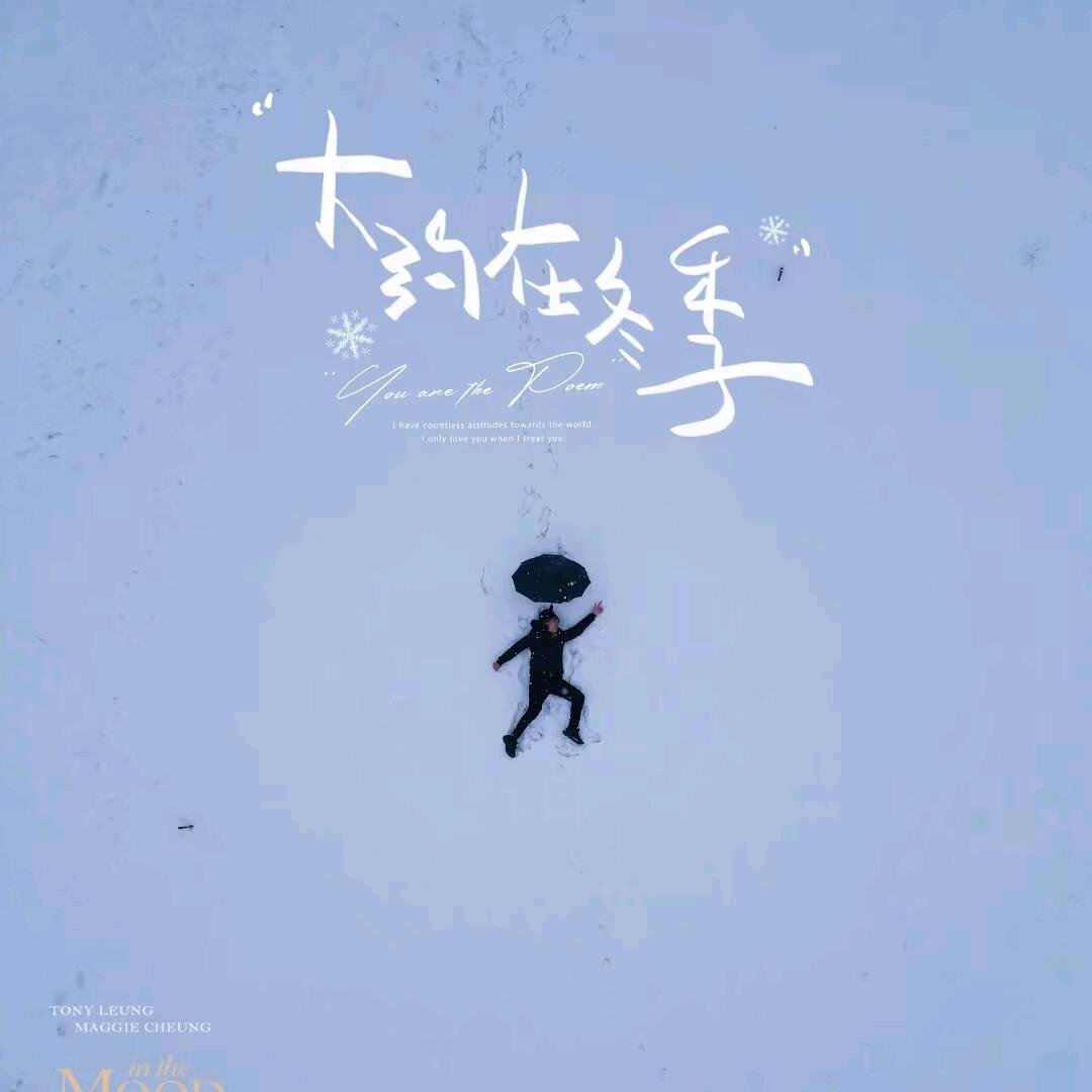 焦点_Ly