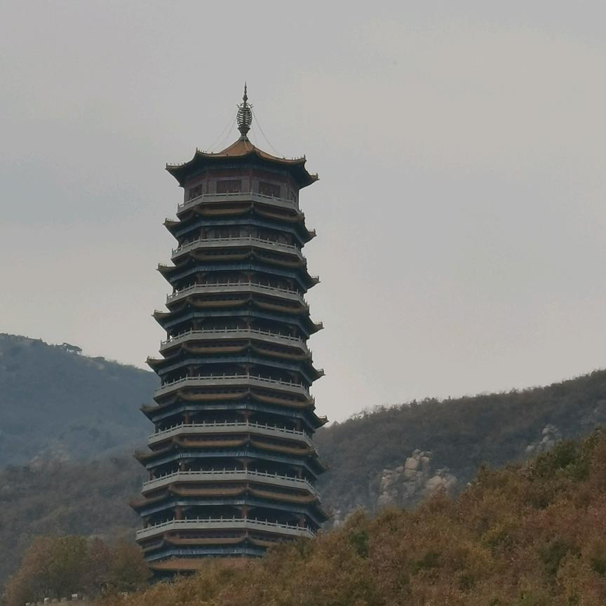 山东锦鹏生态农业 绿壳柴鸡蛋