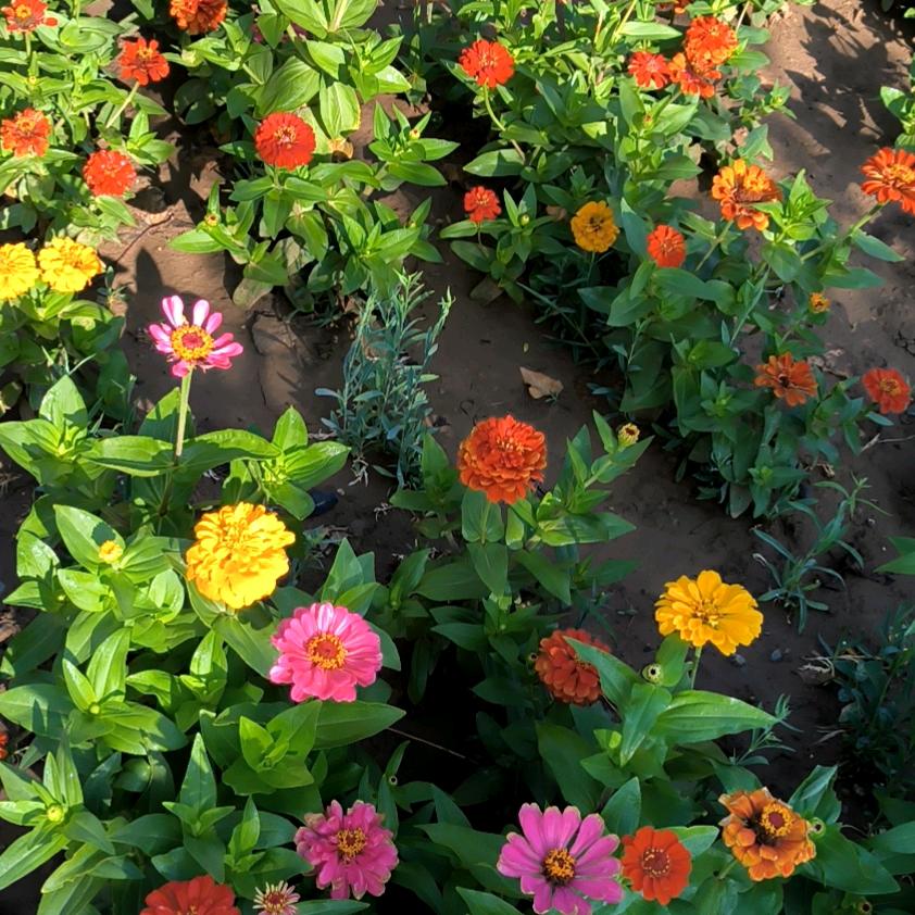 幸福快乐🍊🍎