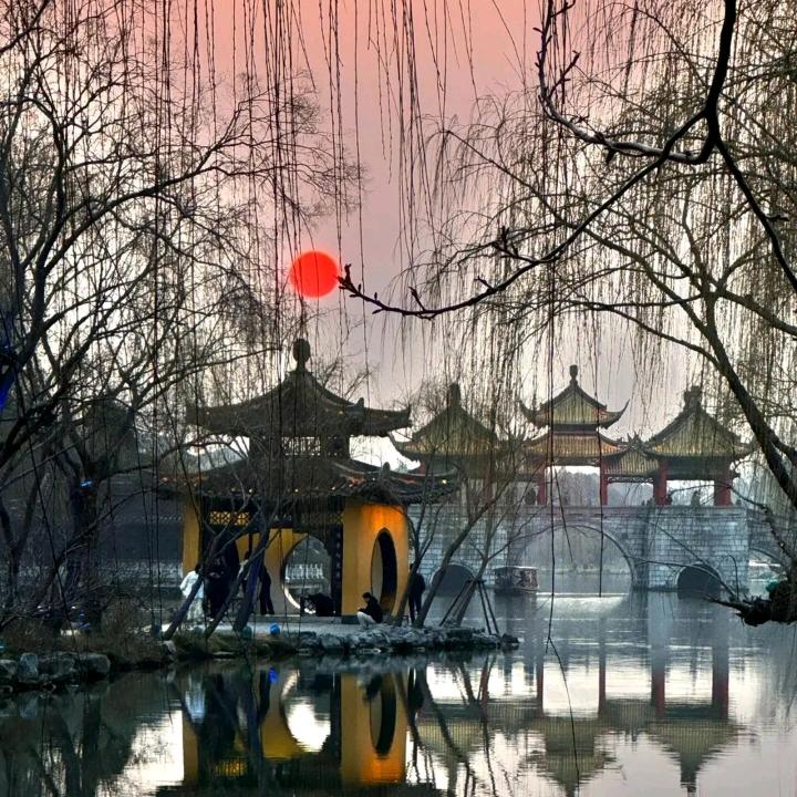 一花一世界