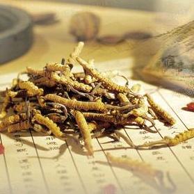 岐黄养身