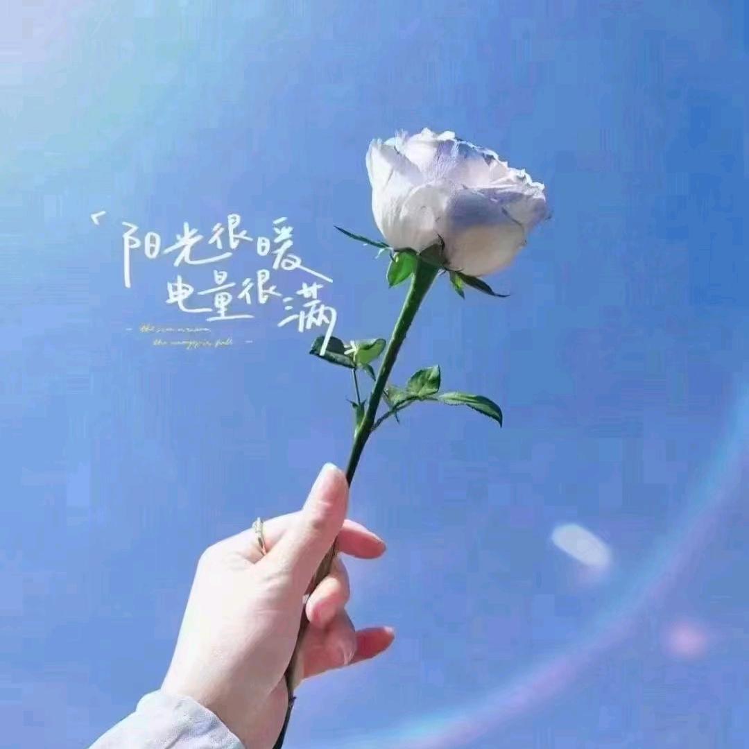 💞曲中人💕