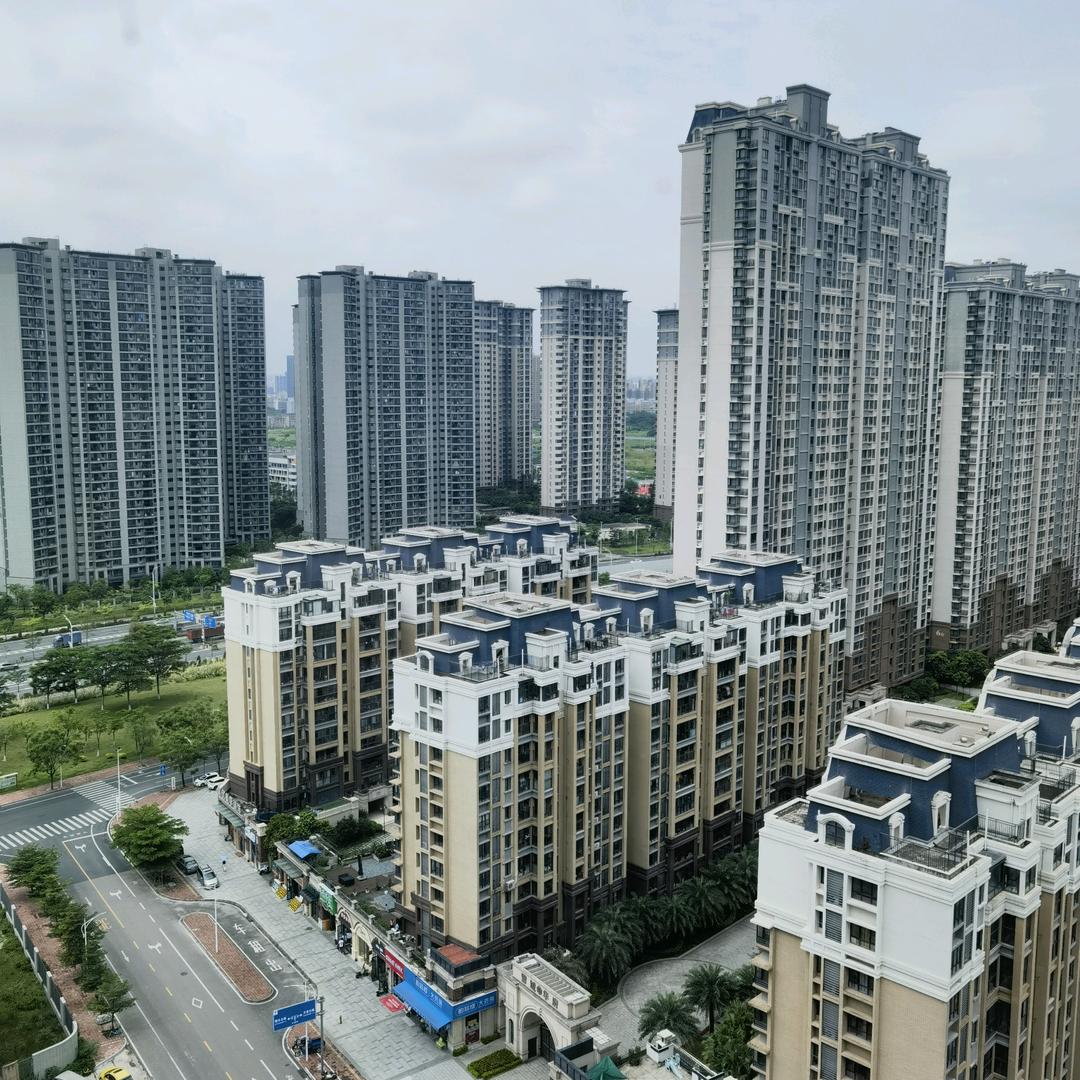 陈哥爱管店