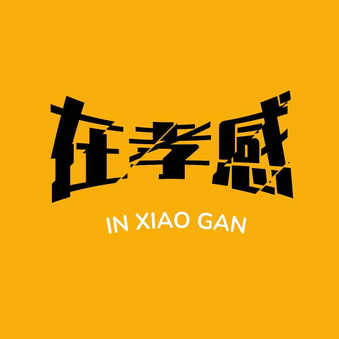 在孝感