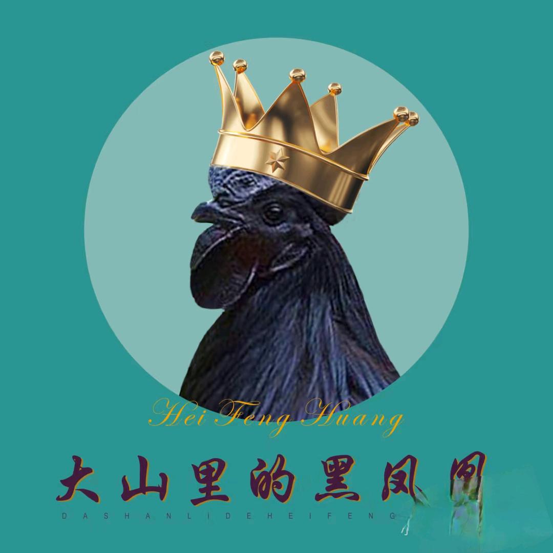 养殖达人