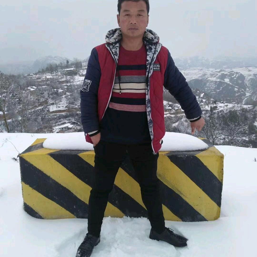 顺驰如意:白薛: