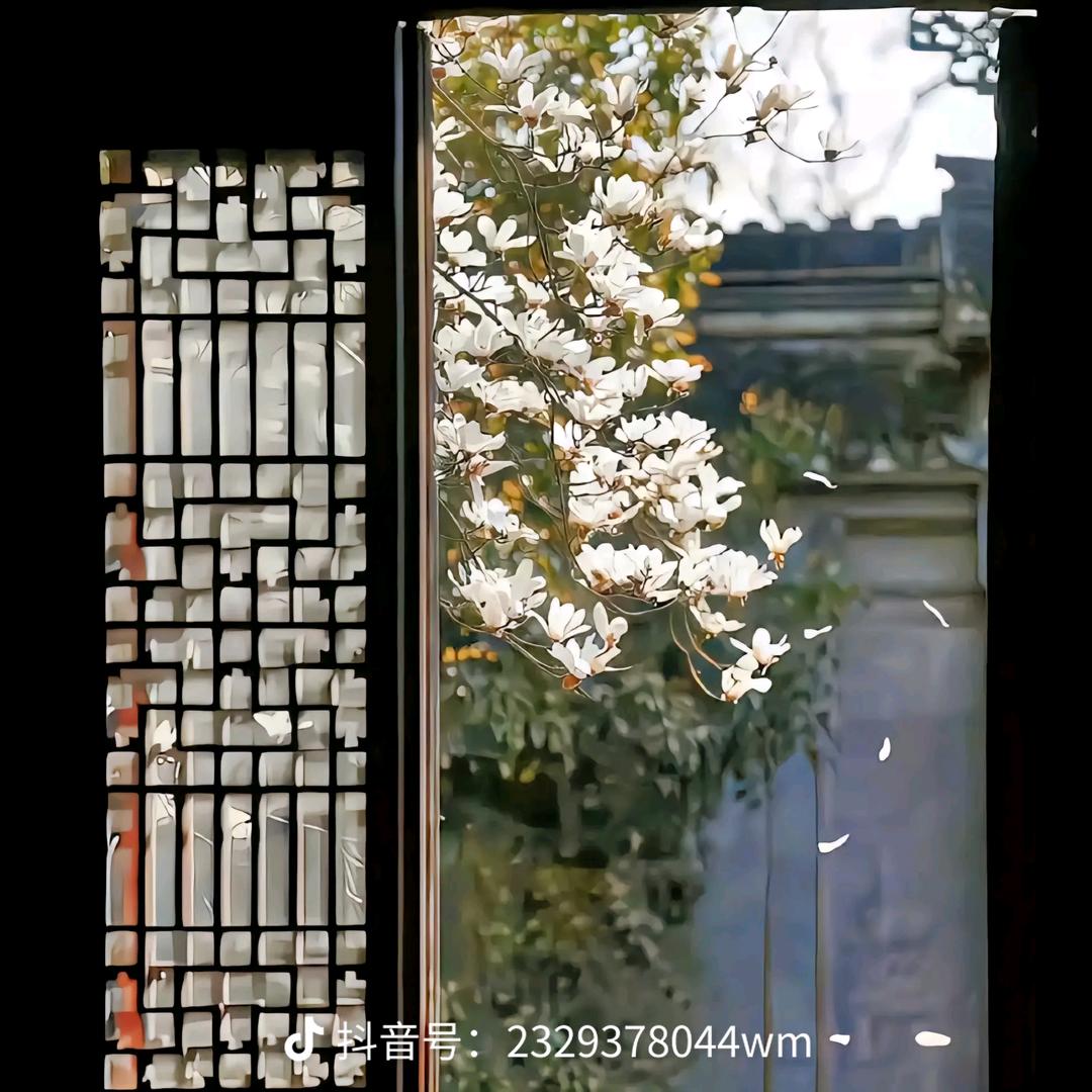 梓先生｜