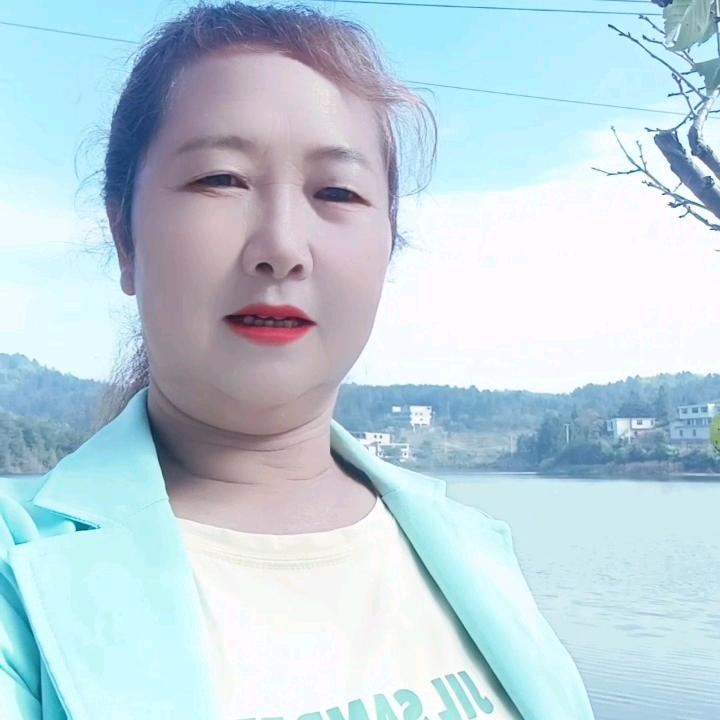 雨蝶