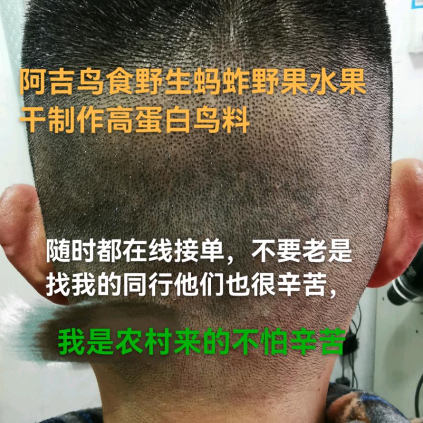 侗王阿吉鸟食总部