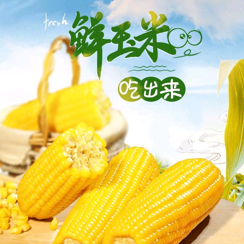 玄龙