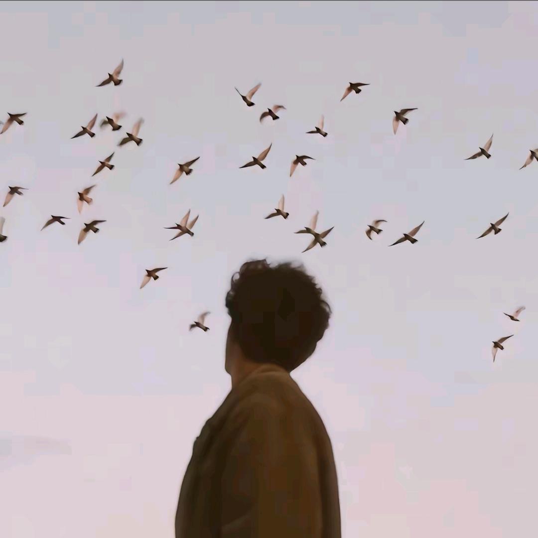 🍁