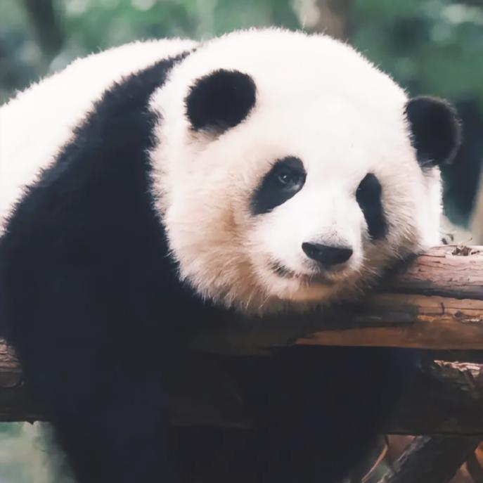 南城以东