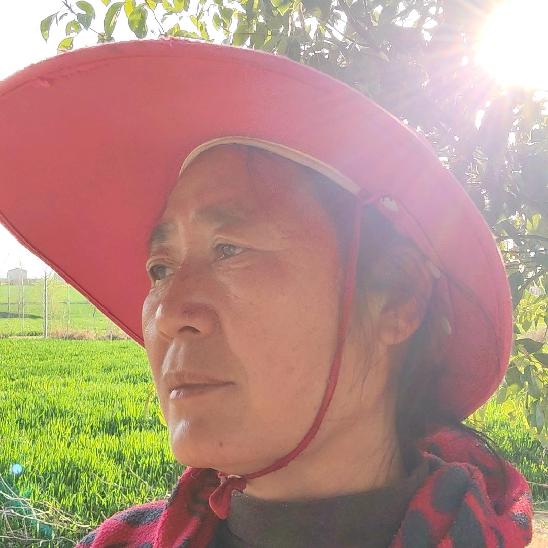 陈秀红