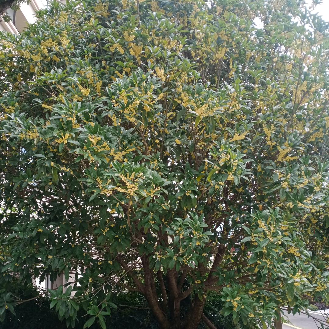 奋斗人生1524523566