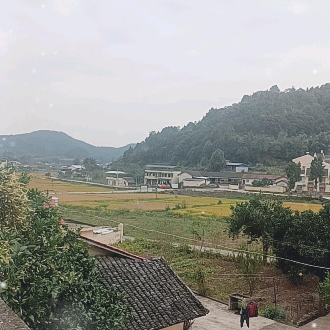 离地追风