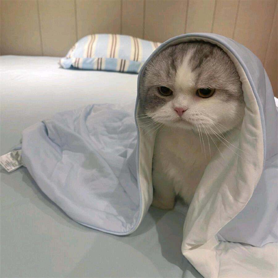 进贤县沐颖经营部