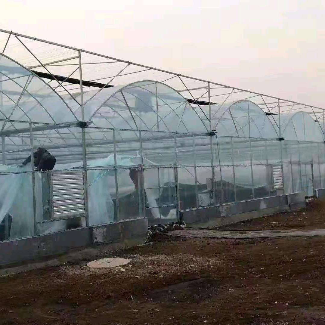 前岩温室大棚厂