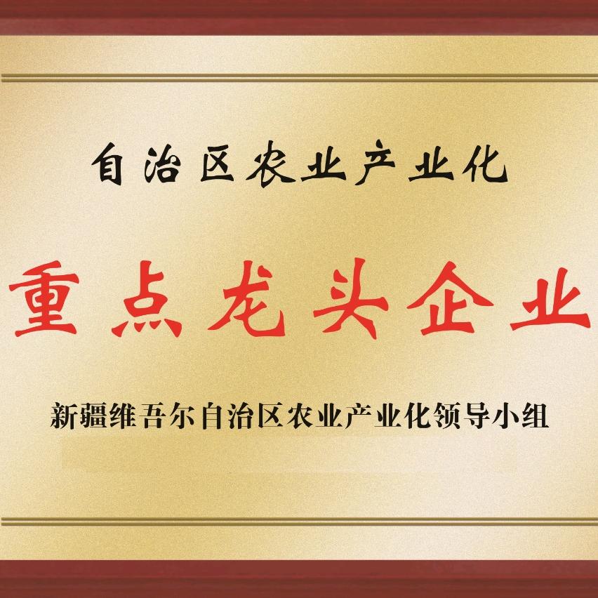可可