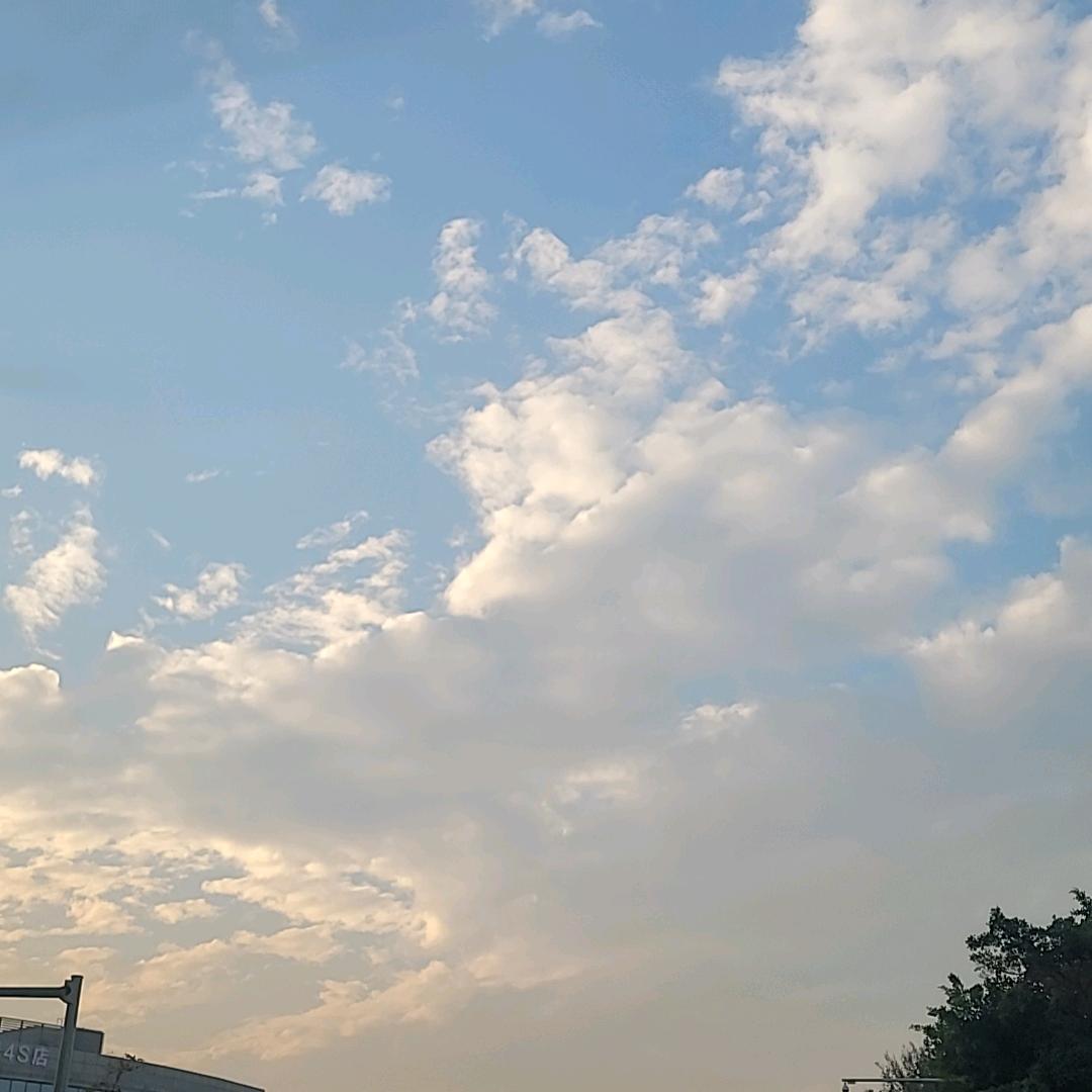 ঞ࿐: 🍂᭄删除～記憶ල᭄: