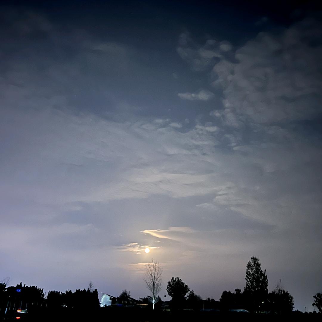 又见江南雨