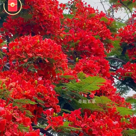 嗨，你好，刘先生