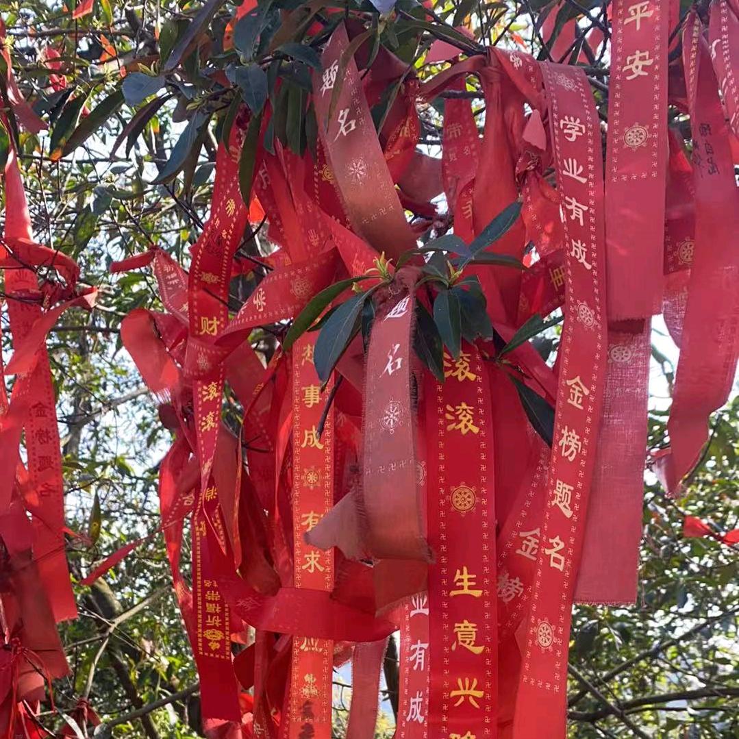 讎讐