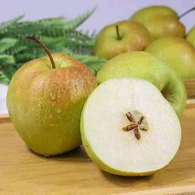 丽姐梨🍐园