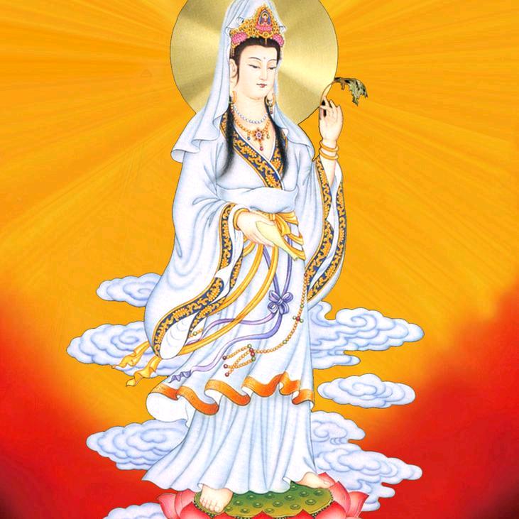秒能秒手回春