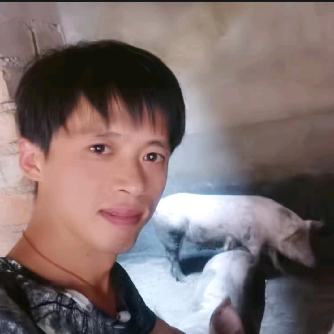 小贾养猪
